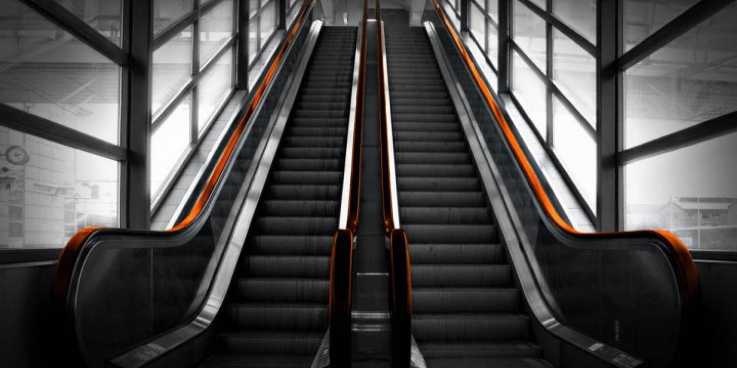 Nullam pellentesque fringilla ex